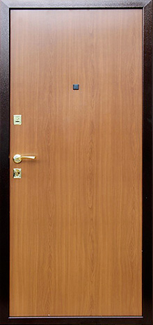 Стальная дверь Входная дверь ЭК-22